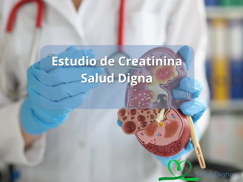 estudio de urea y creatinina precio salud digna