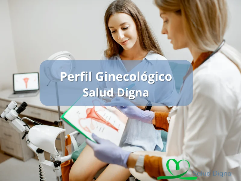 salud digna perfil ginecologico precio
