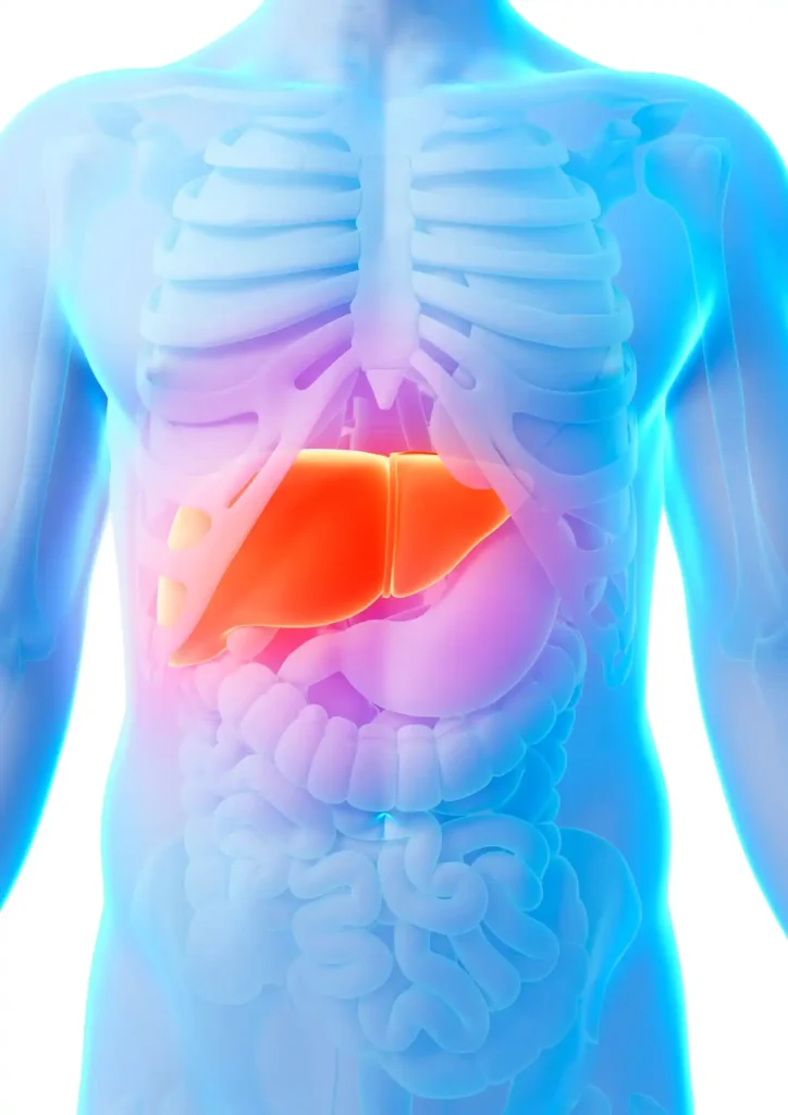 precio de perfil hepático en salud digna